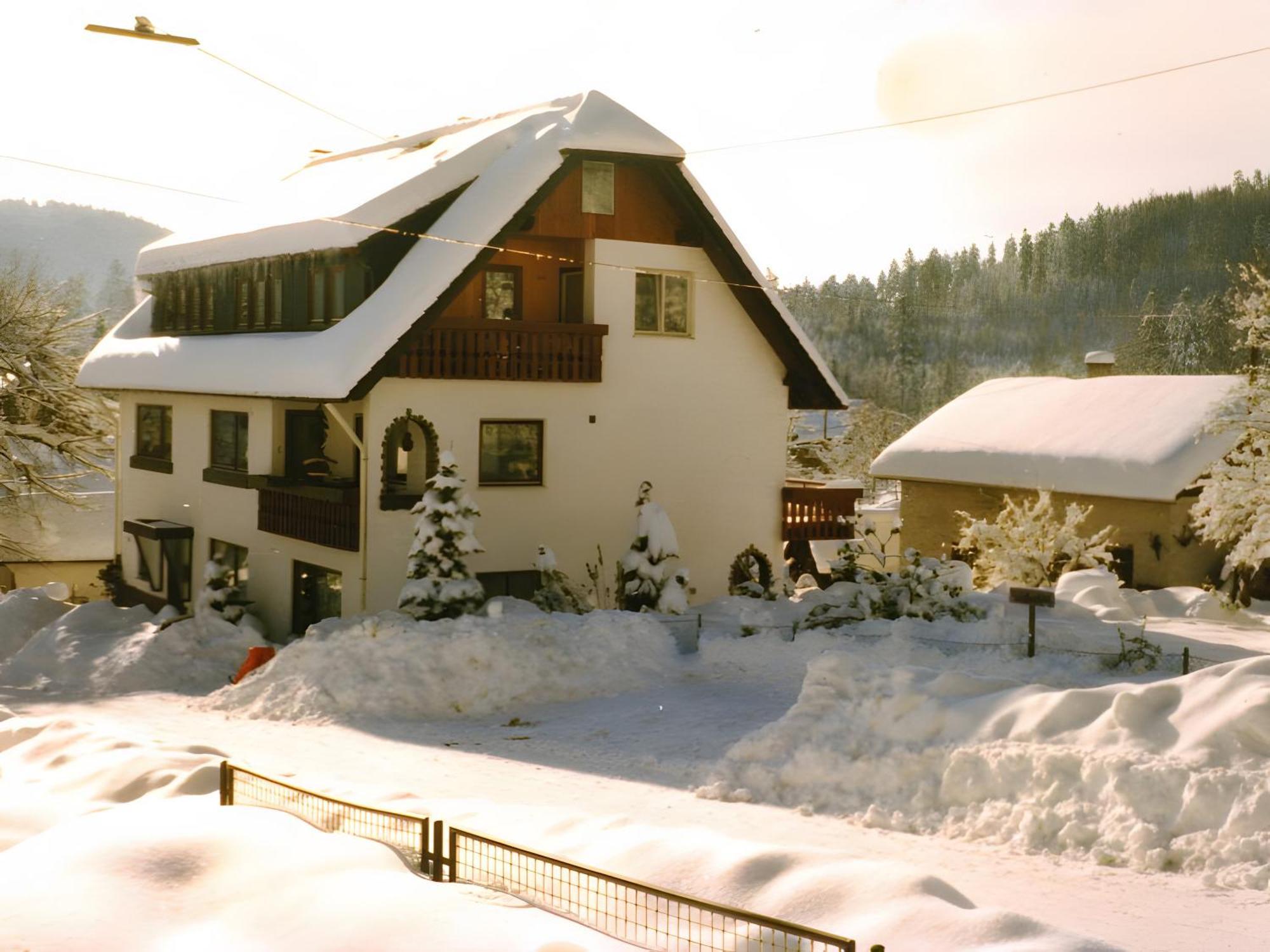 Haus Muehlgrund Apartment Bad Wildbad Bagian luar foto