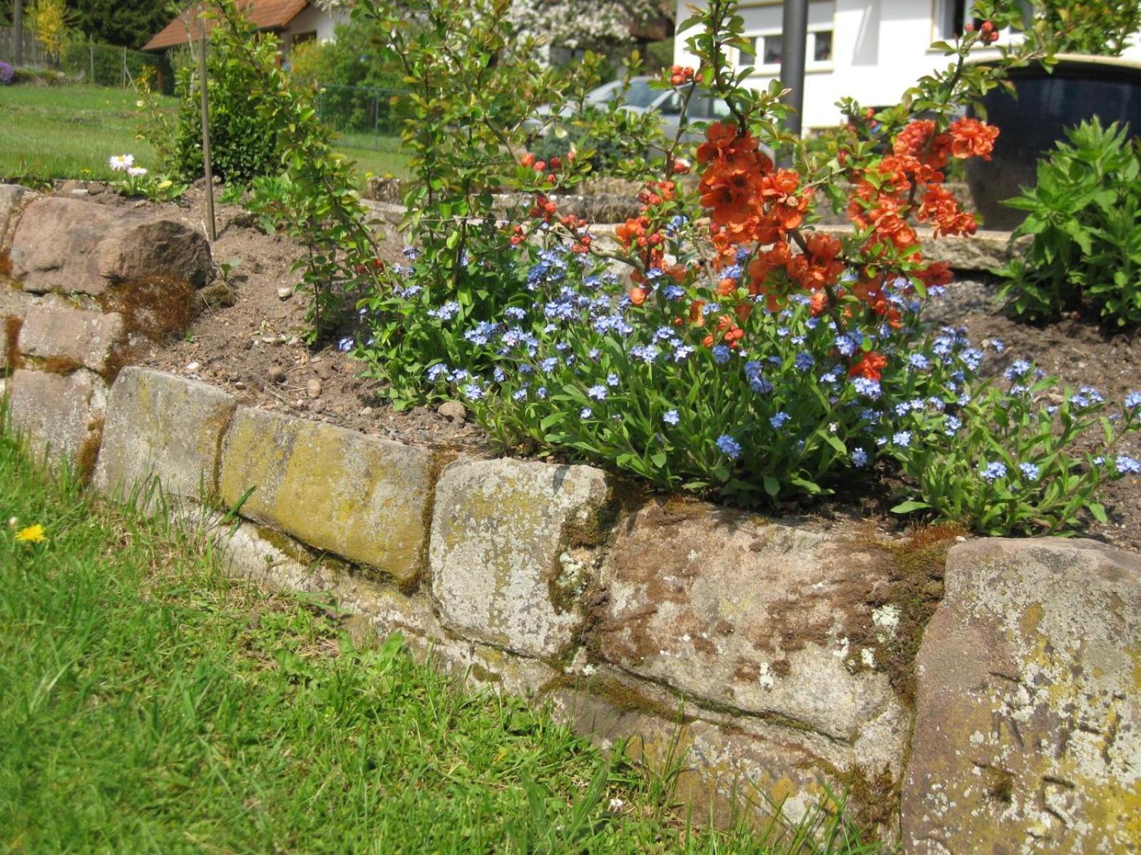 Haus Muehlgrund Apartment Bad Wildbad Bagian luar foto