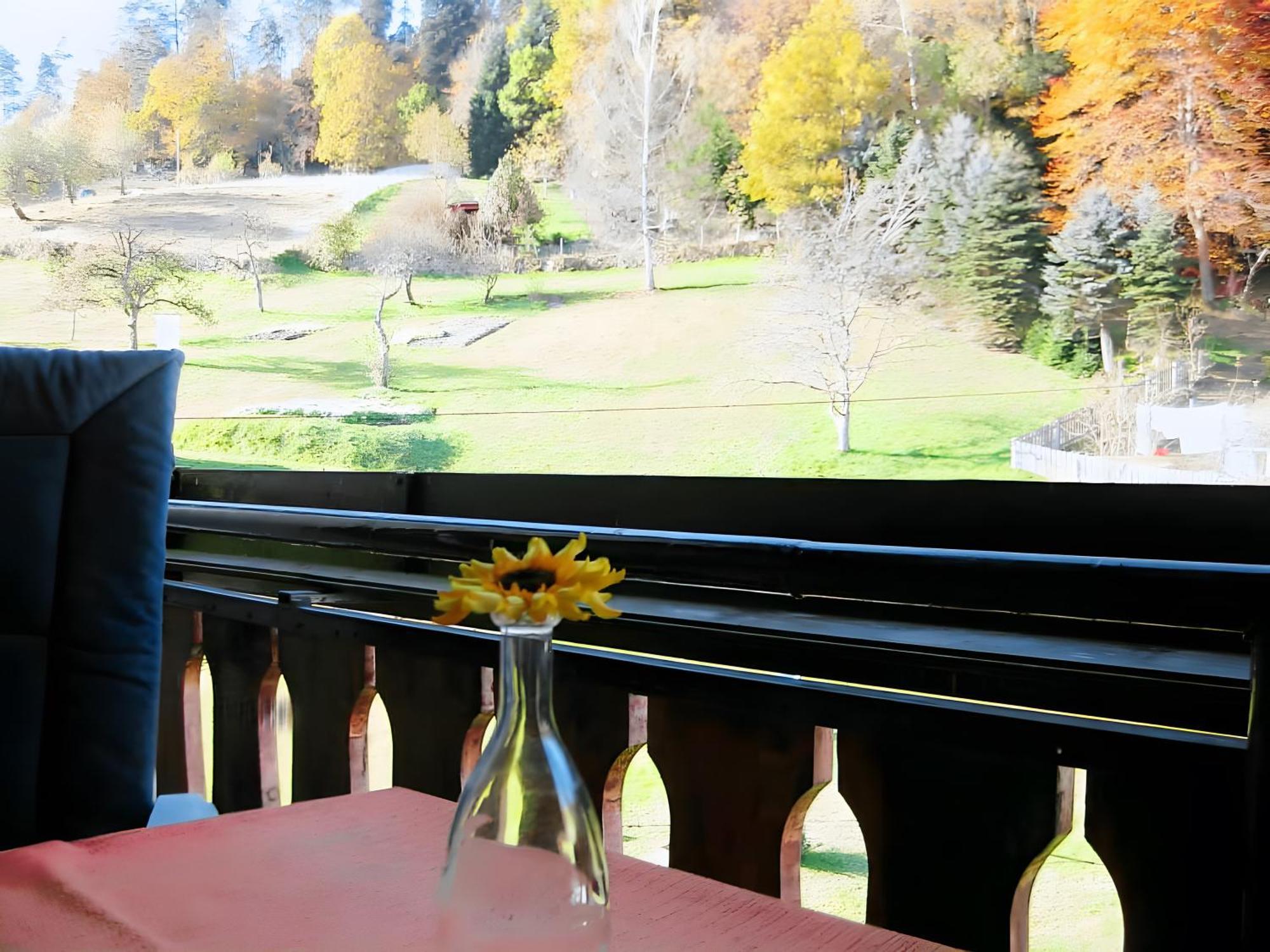 Haus Muehlgrund Apartment Bad Wildbad Bagian luar foto