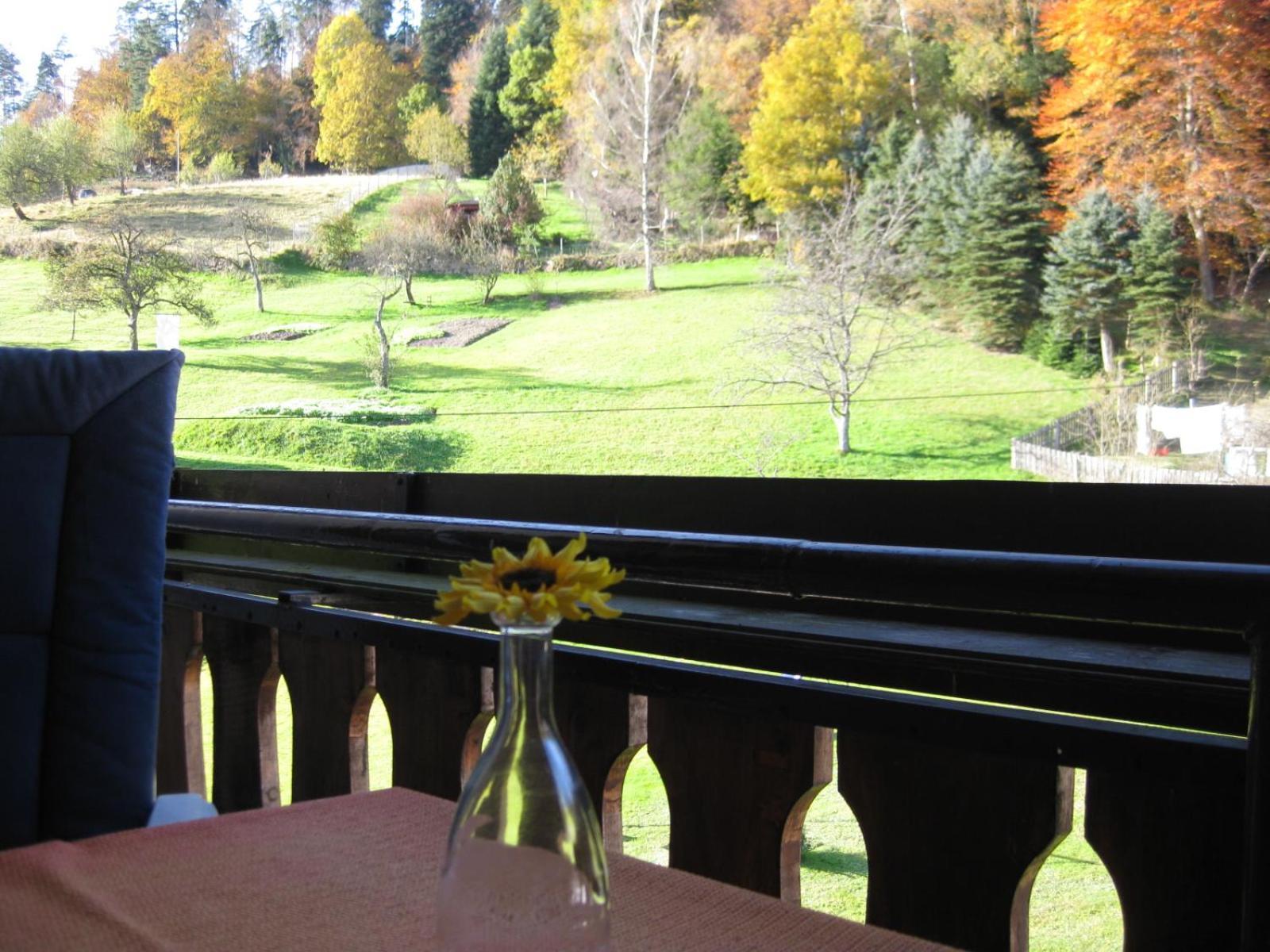 Haus Muehlgrund Apartment Bad Wildbad Bagian luar foto